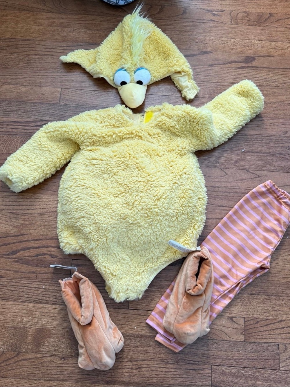 Pottery Barn Kids Big Bird Sesame Street Costume